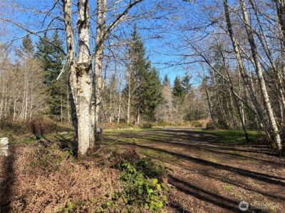 0 Blacktail Court , Quilcene, WA 98376 - Photo 21
