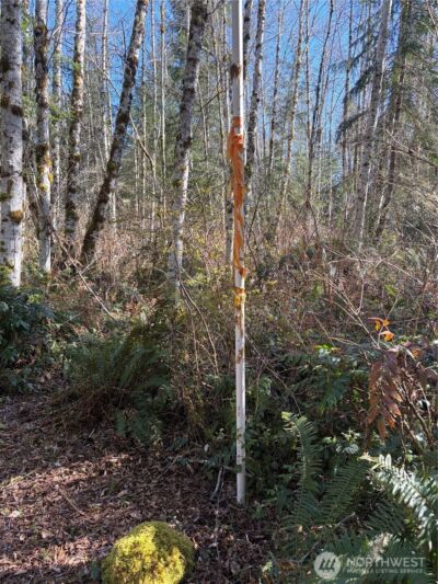 0 Blacktail Court , Quilcene, WA 98376 - Photo 5