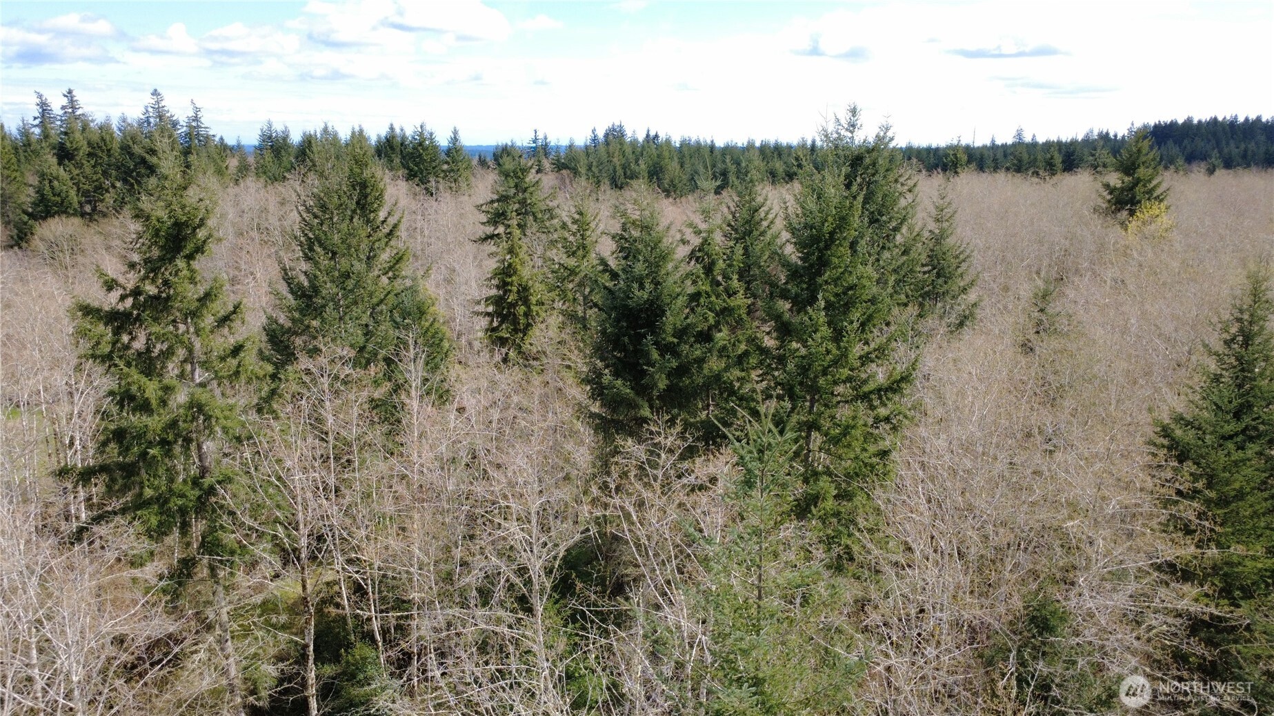 0 Blacktail Court , Quilcene, WA 98376