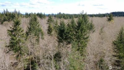 0 Blacktail Court , Quilcene, WA 98376 - Photo 6