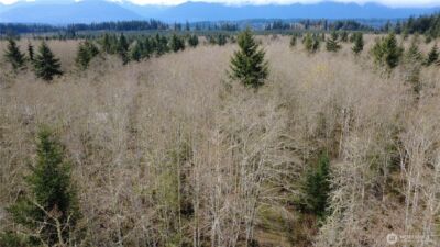 0 Blacktail Court , Quilcene, WA 98376 - Photo 7