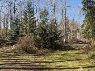 0 Blacktail Court , Quilcene, WA 98376 - Photo 8