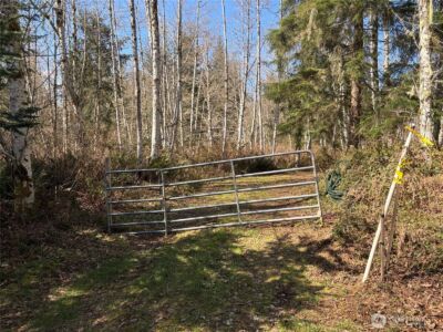 0 Blacktail Court , Quilcene, WA 98376 - Photo 9