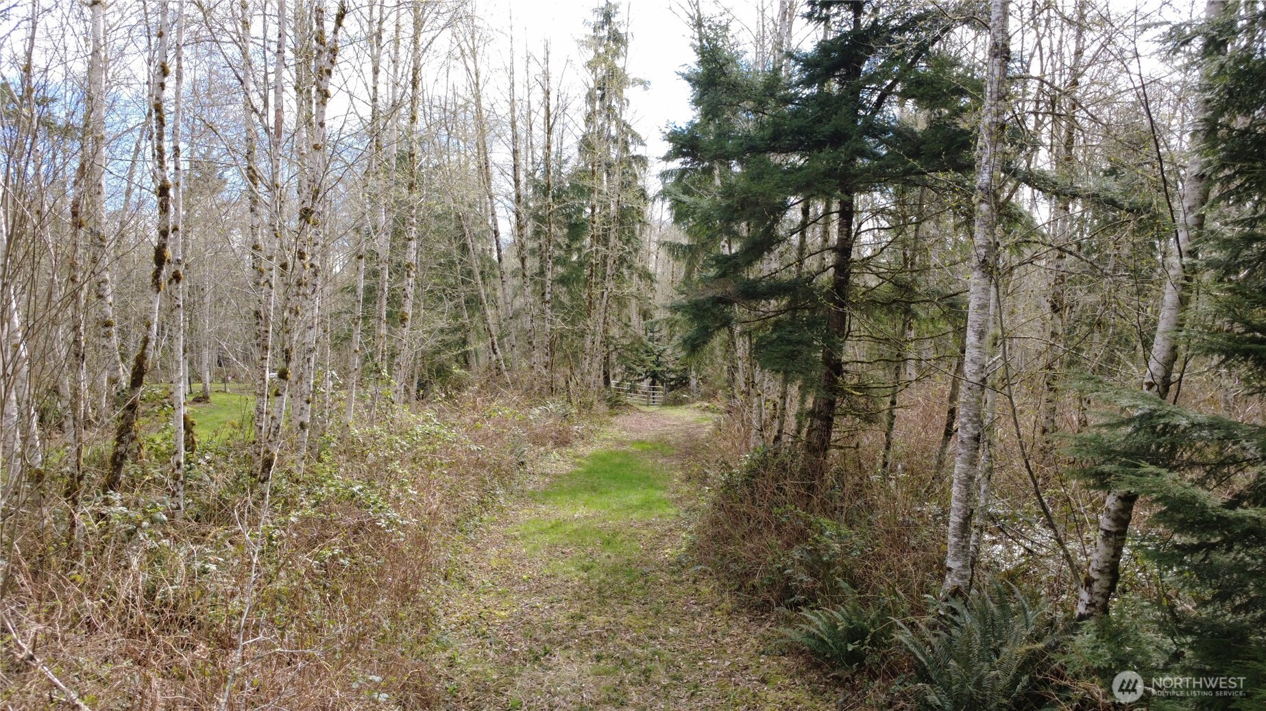 0 Blacktail Court , Quilcene, WA 98376