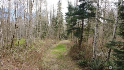 0 Blacktail Court , Quilcene, WA 98376 - Photo 10