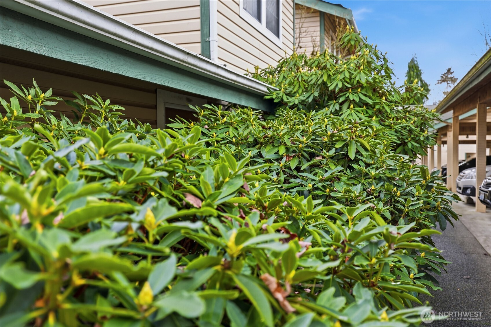21306 48th Avenue W #C2, Mountlake Terrace, WA 98043-3490
