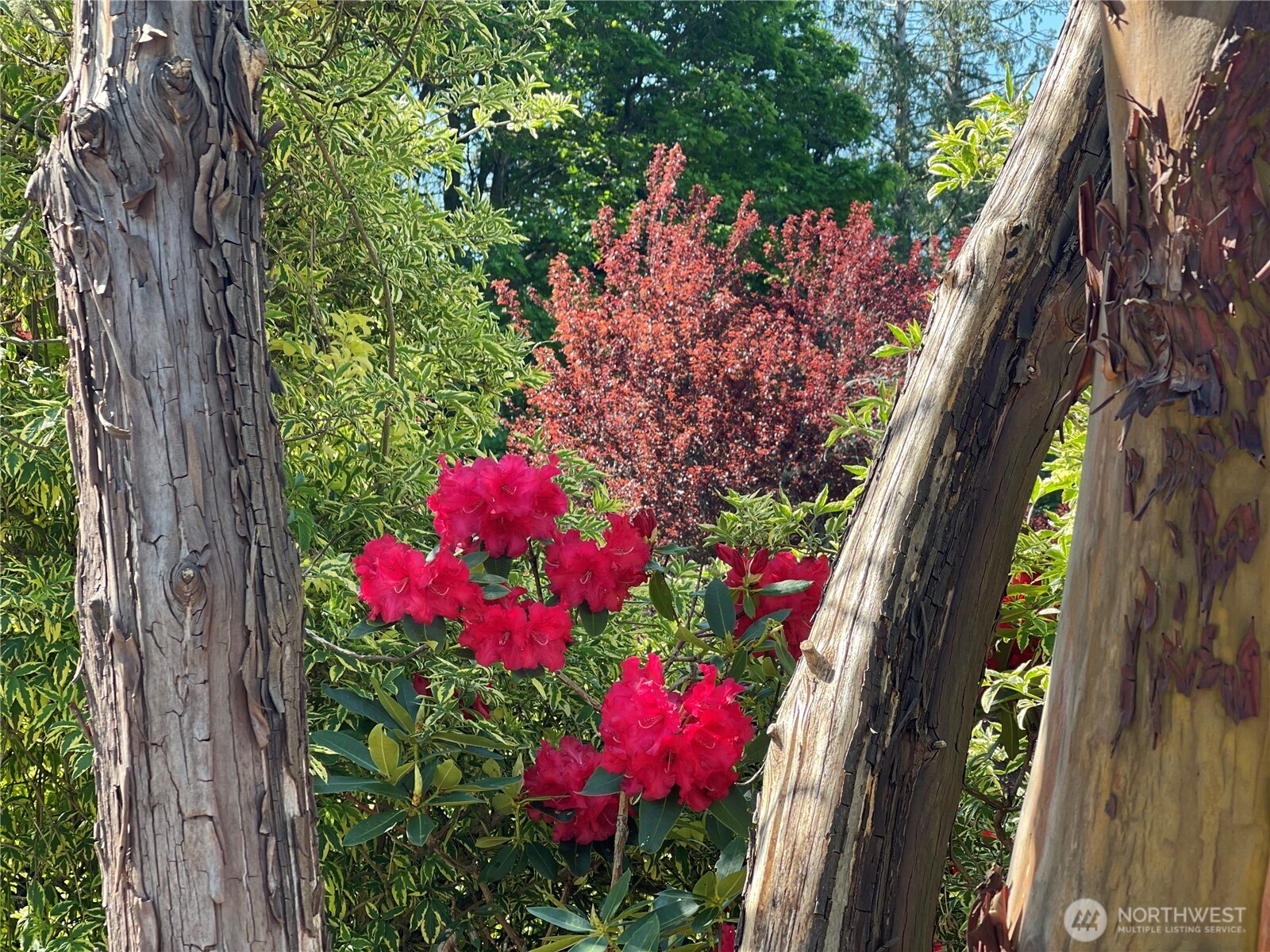 1988 Cascade View Drive , Camano Island, WA 98282