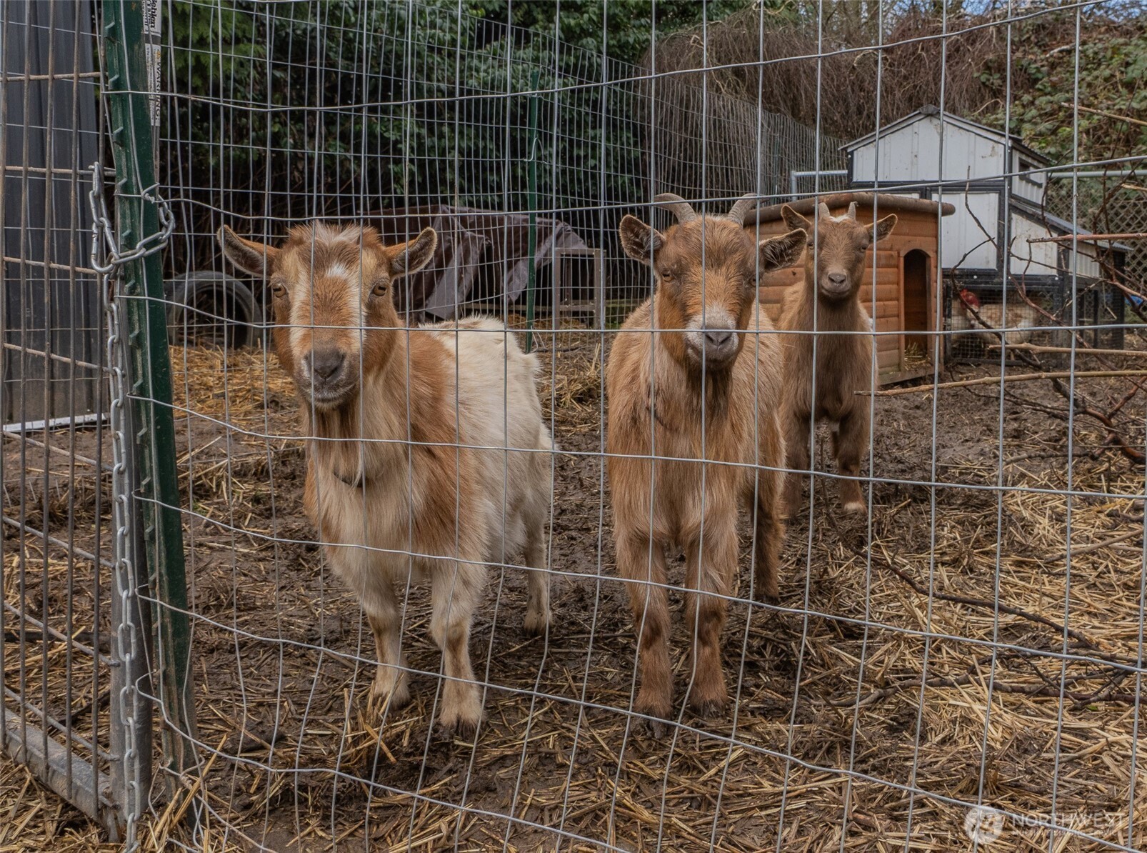 11324 Waller Road E, Tacoma, WA 98446