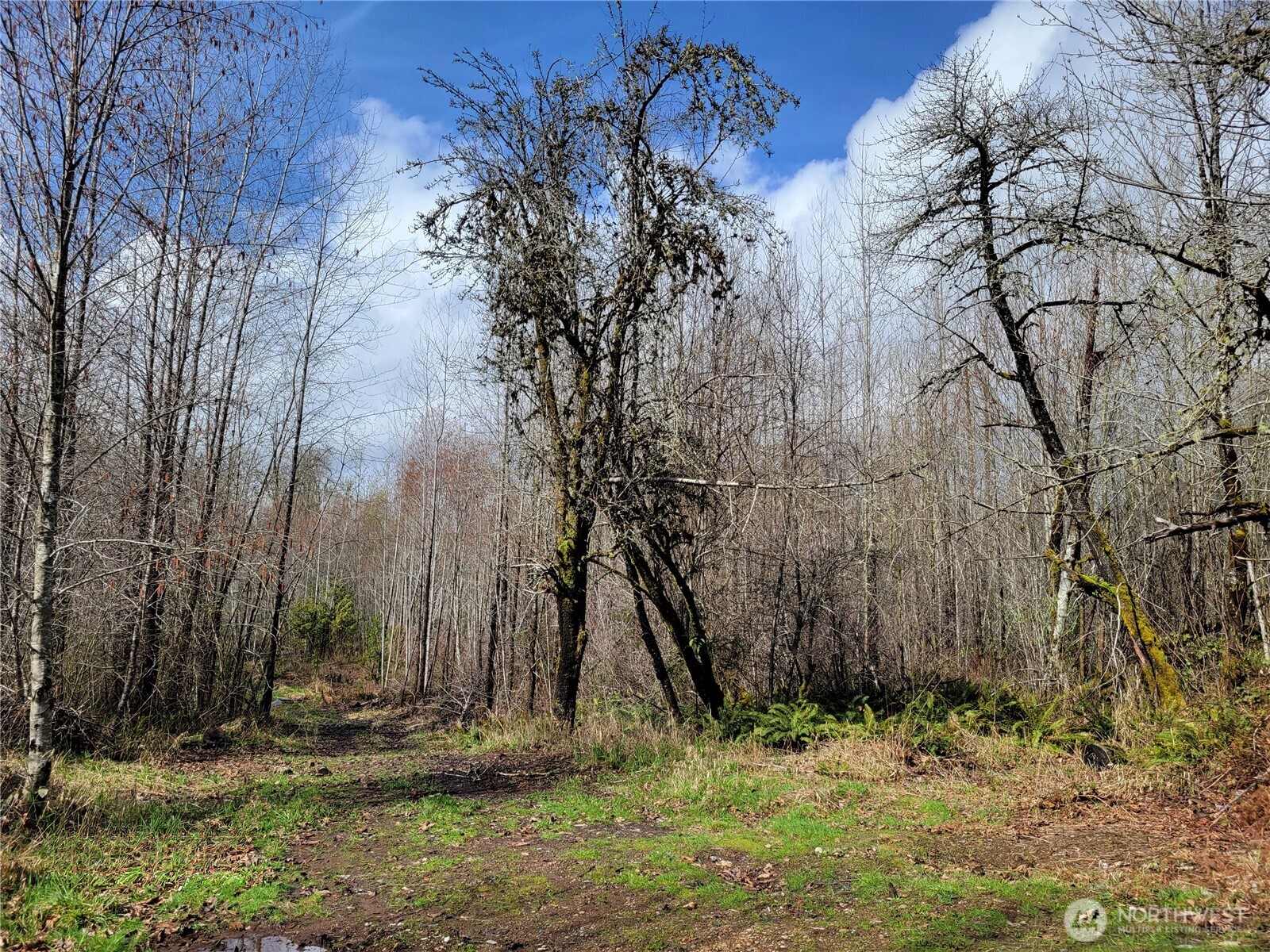 1840 W Deegan Road W, Shelton, WA 98584