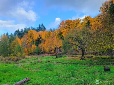 1840 W Deegan Road W, Shelton, WA 98584 - Photo 11