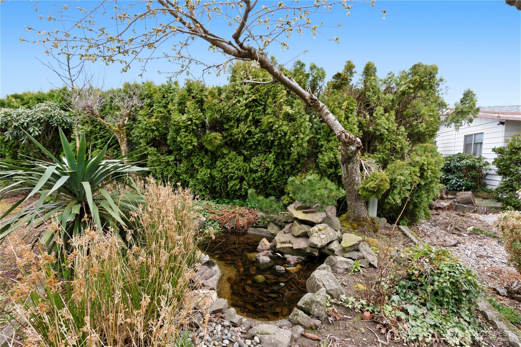 11436 SE 208th Street #46, Kent, WA 98031