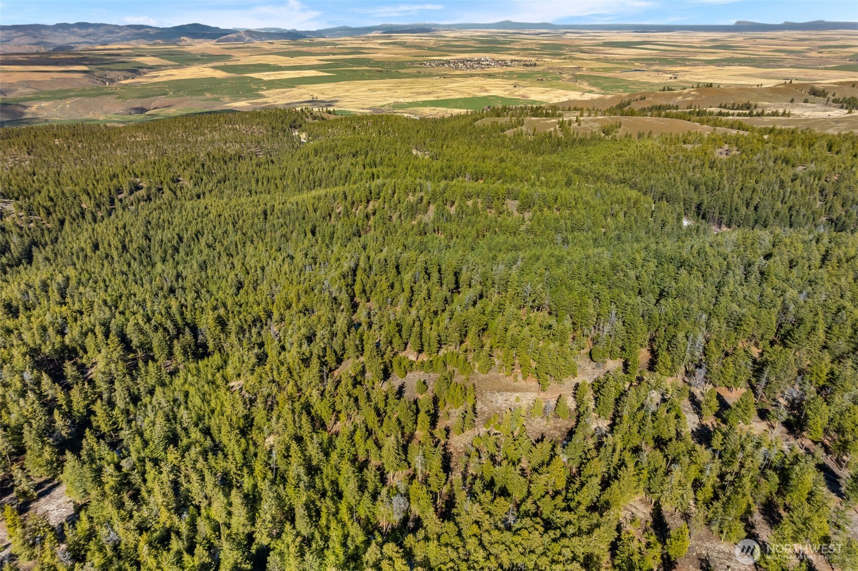 110 Blue Bird Ln , East Wenatchee, WA 98802