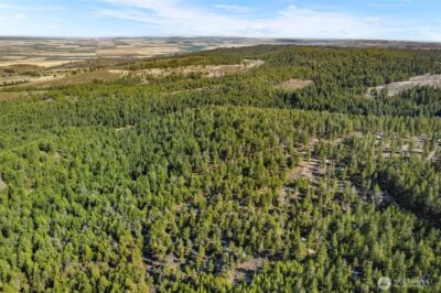 110 Blue Bird Ln , East Wenatchee, WA 98802 - Photo 16