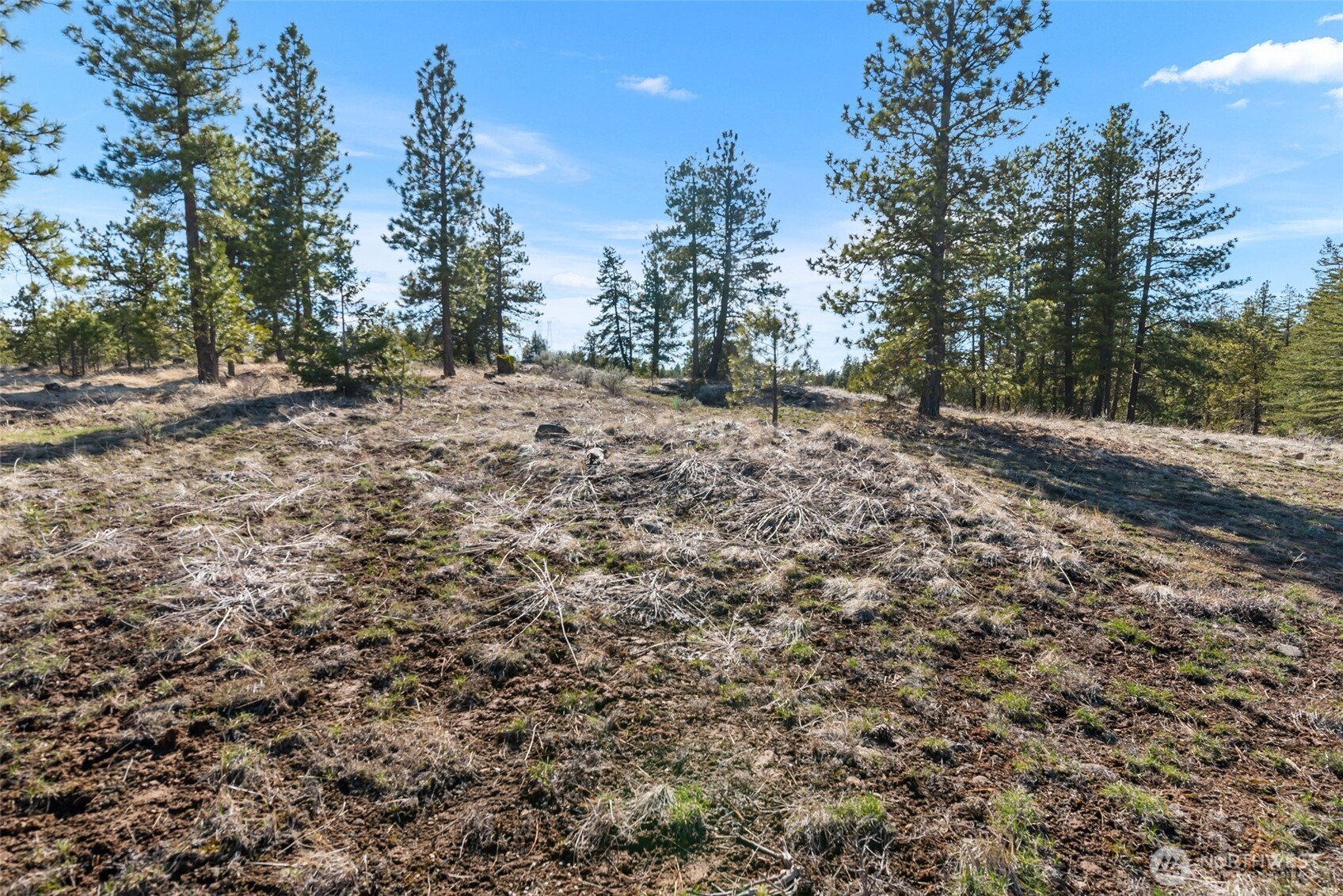 110 Blue Bird Ln , East Wenatchee, WA 98802