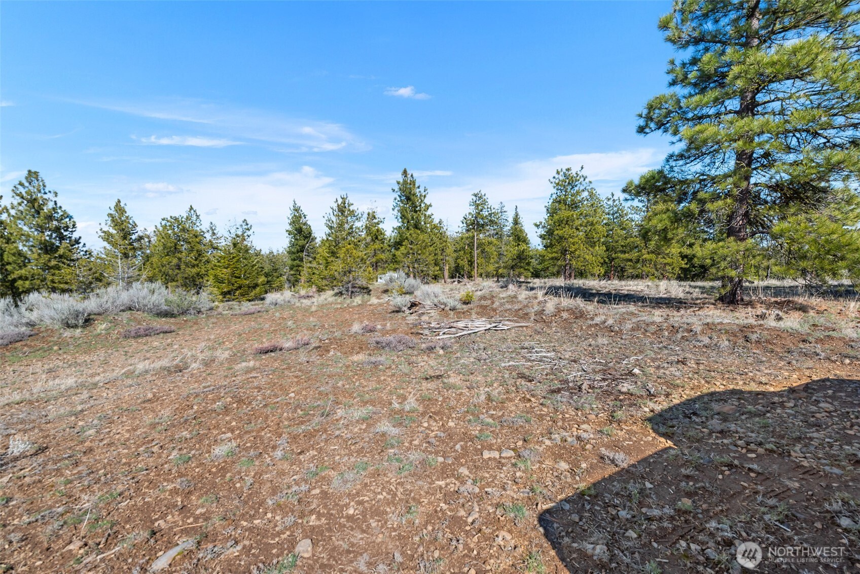 110 Blue Bird Ln , East Wenatchee, WA 98802