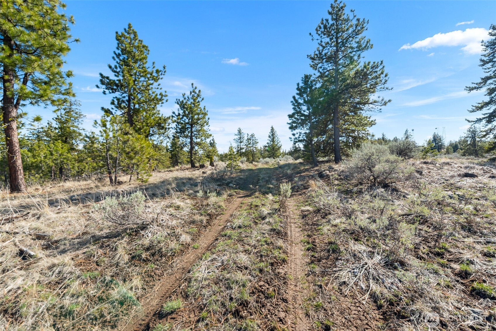 110 Blue Bird Ln , East Wenatchee, WA 98802