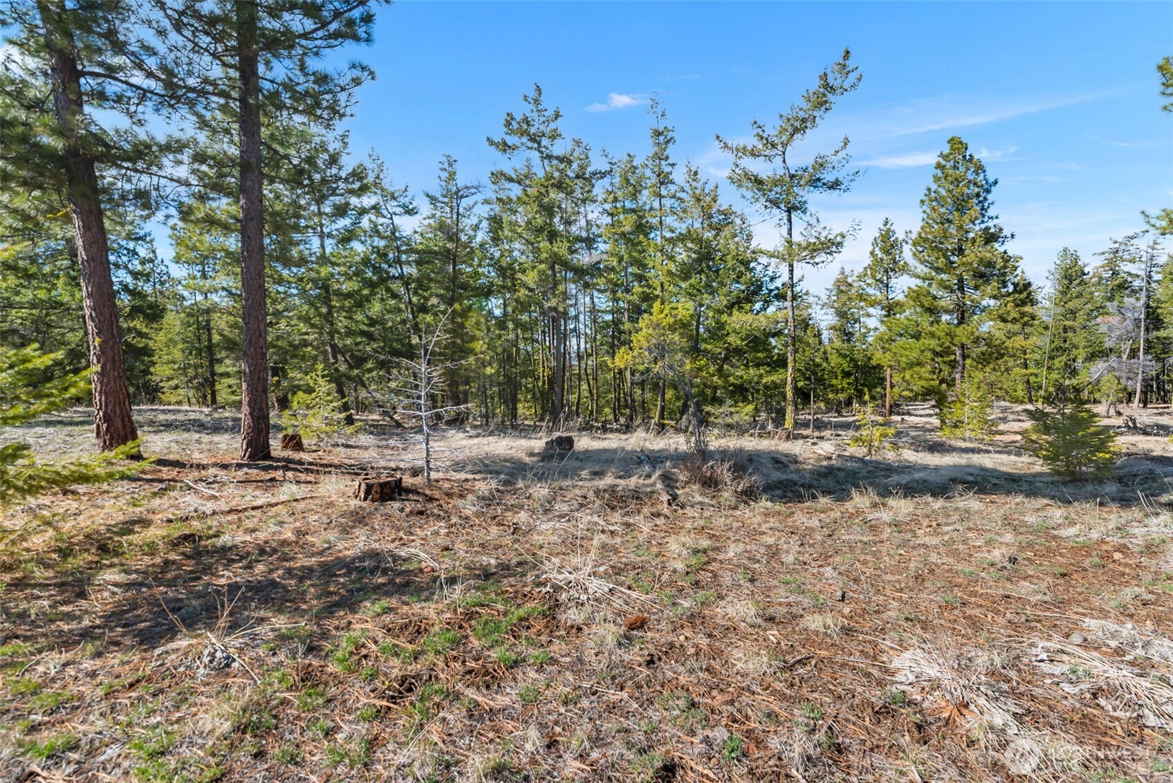 110 Blue Bird Ln , East Wenatchee, WA 98802