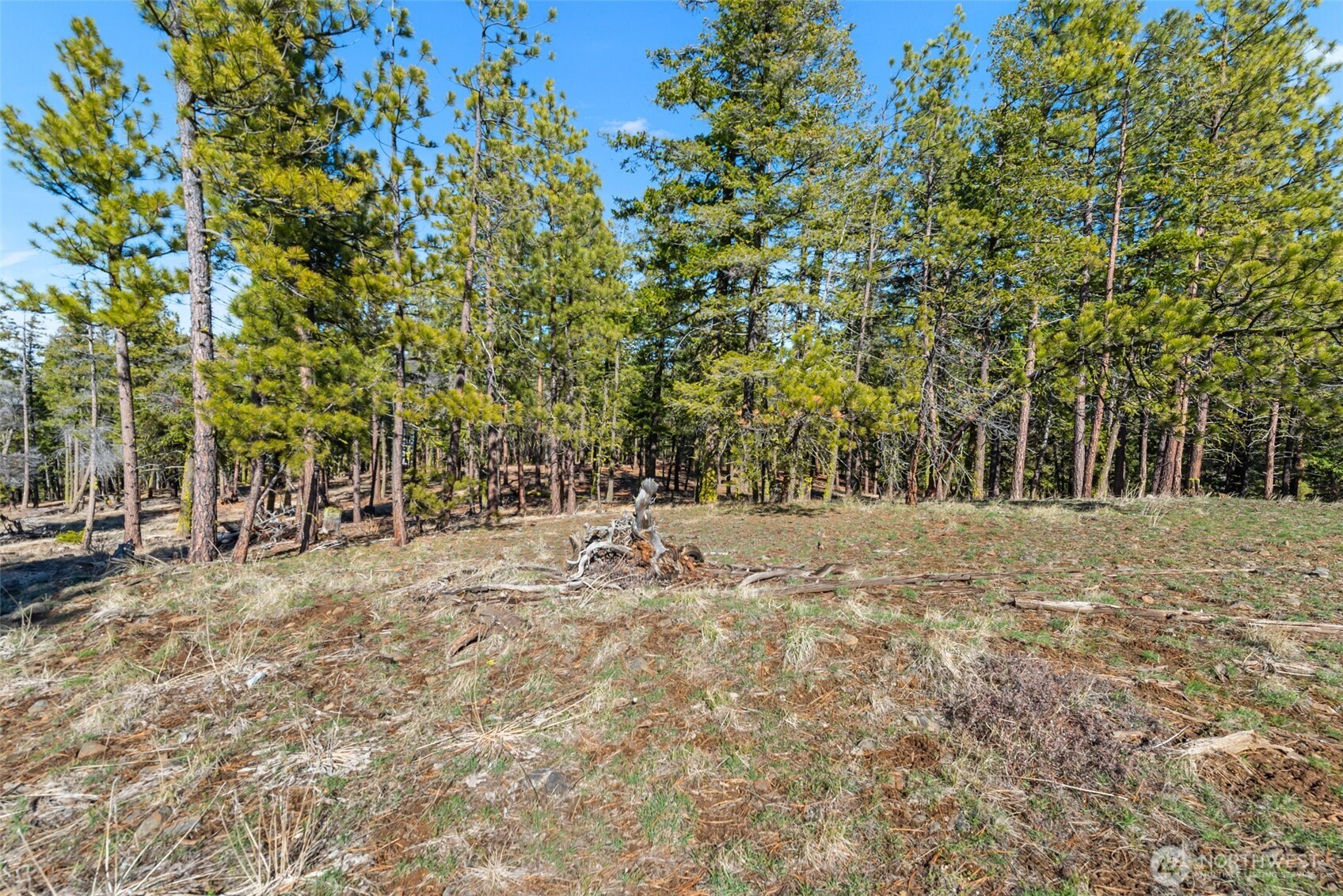 110 Blue Bird Ln , East Wenatchee, WA 98802