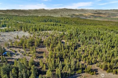 110 Blue Bird Ln , East Wenatchee, WA 98802 - Photo 6