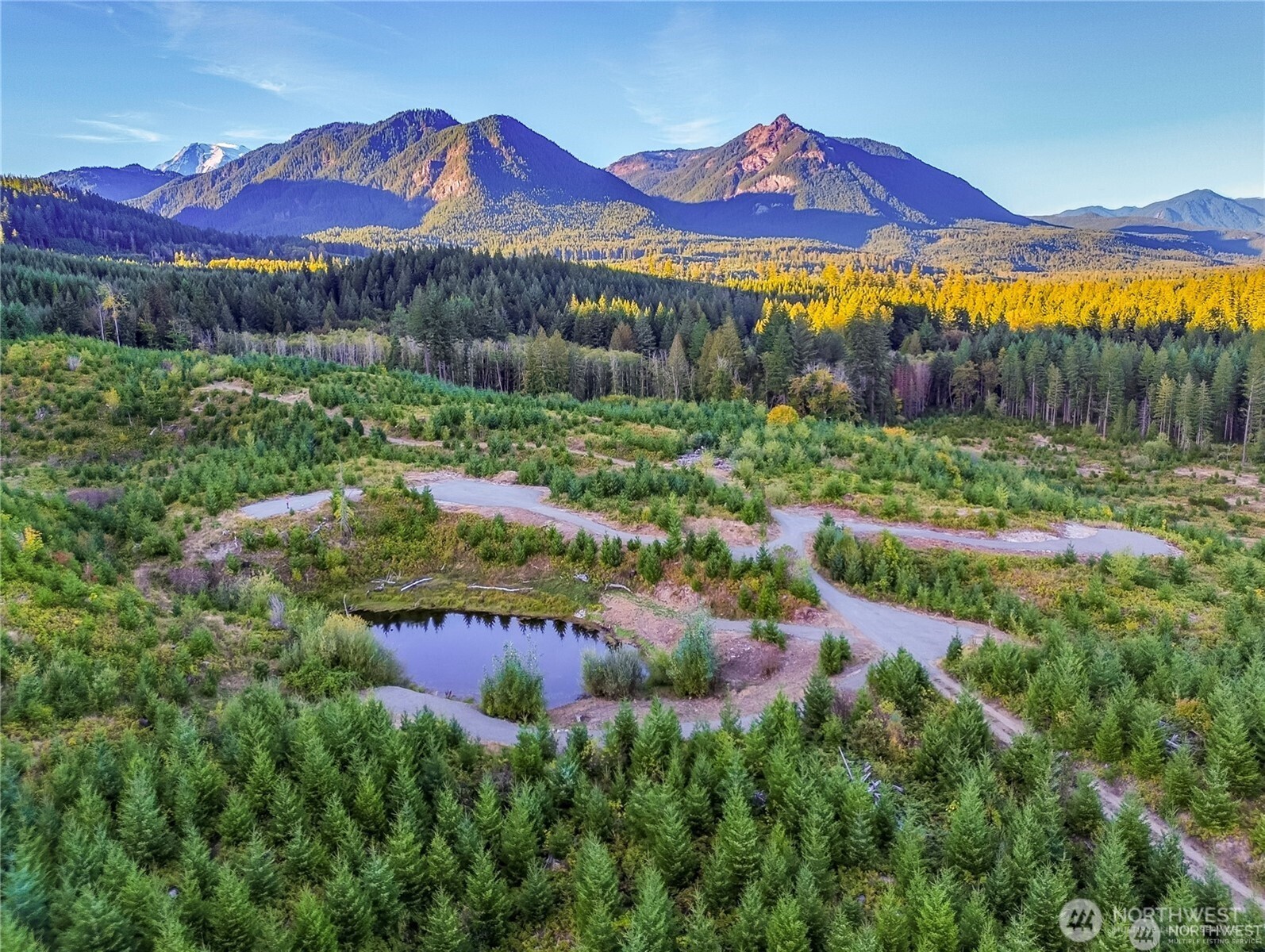 294 Hardy Lane , Packwood, WA 98361