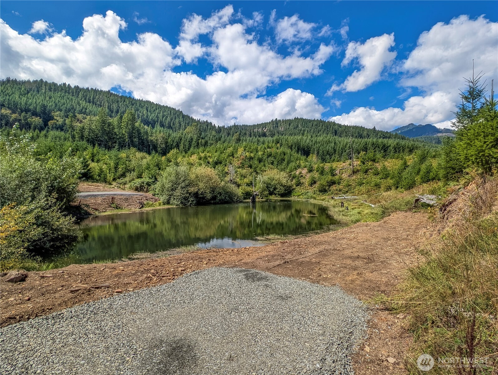 294 Hardy Lane , Packwood, WA 98361