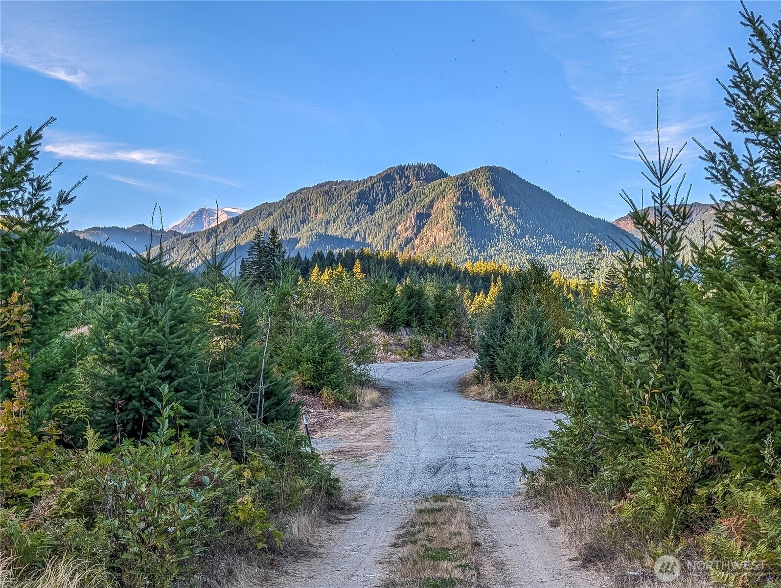 294 Hardy Lane , Packwood, WA 98361