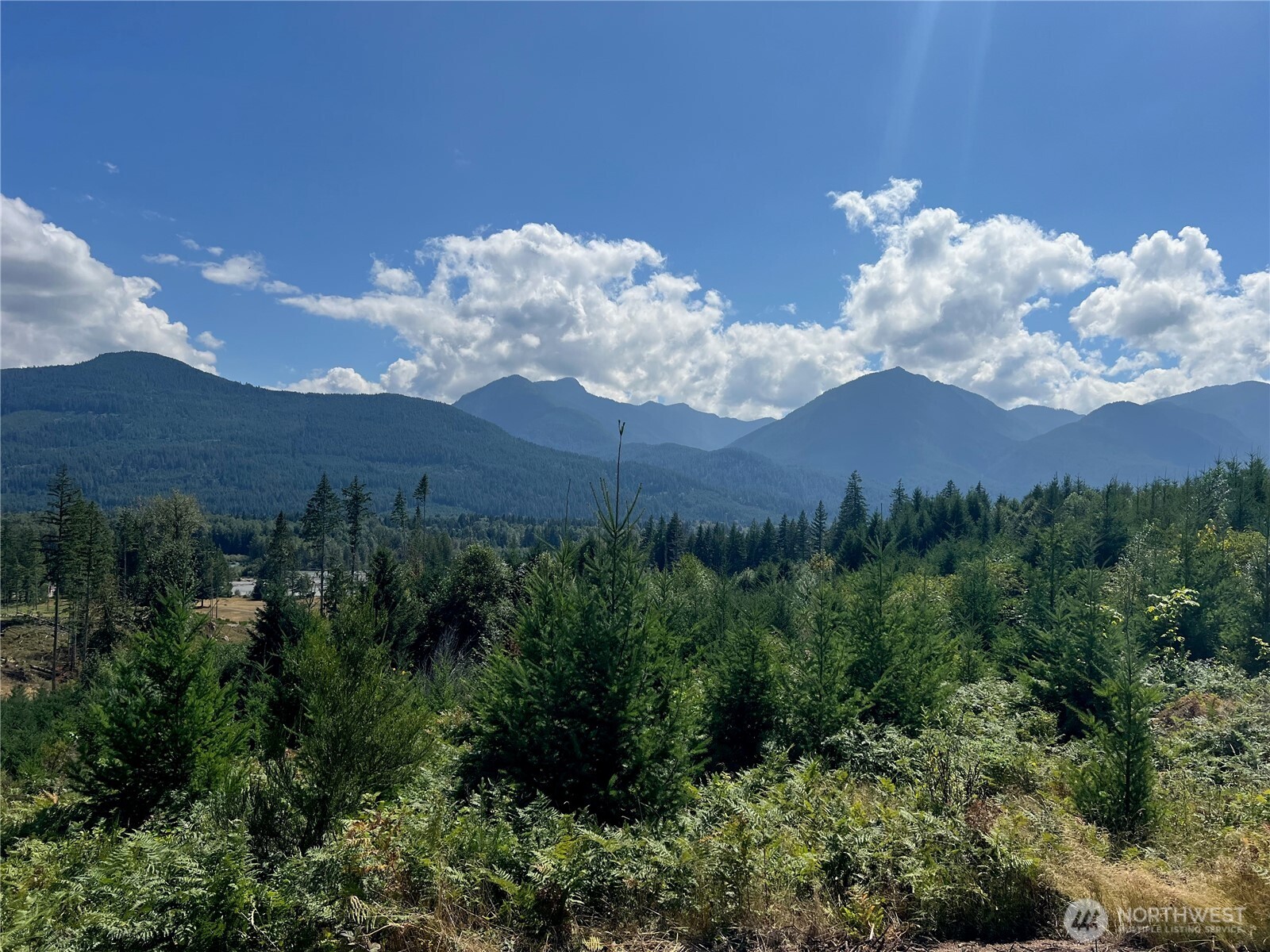 294 Hardy Lane , Packwood, WA 98361