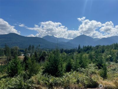 294 Hardy Lane , Packwood, WA 98361 - Photo 15