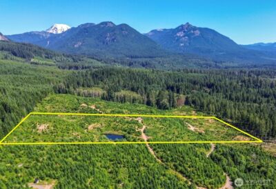 294 Hardy Lane , Packwood, WA 98361 - Photo 2