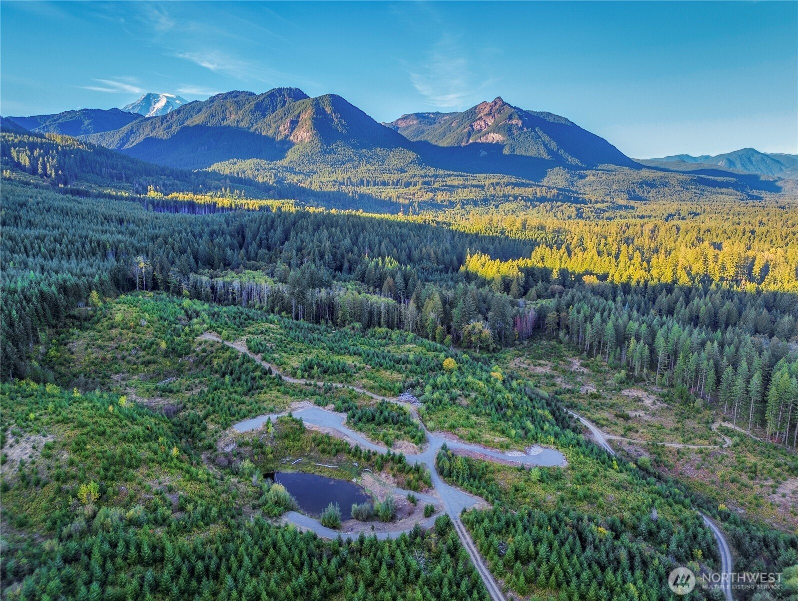 294 Hardy Lane , Packwood, WA 98361