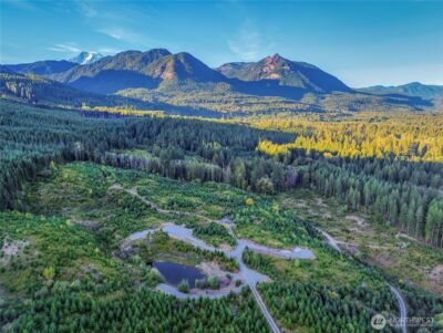 294 Hardy Lane , Packwood, WA 98361 - Photo 3