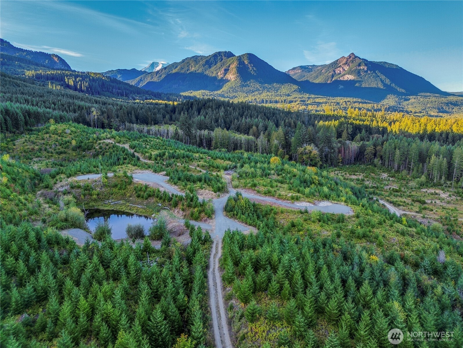 294 Hardy Lane , Packwood, WA 98361