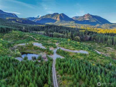 294 Hardy Lane , Packwood, WA 98361 - Photo 4