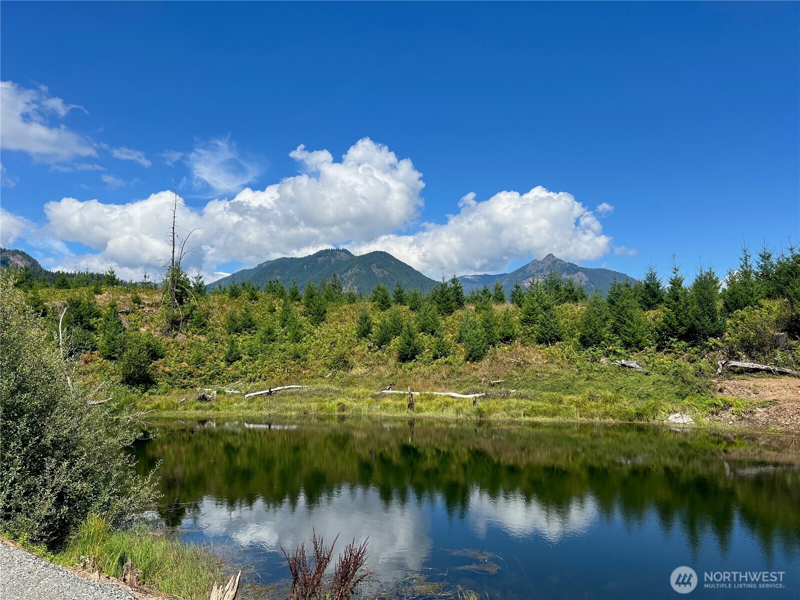 294 Hardy Lane , Packwood, WA 98361