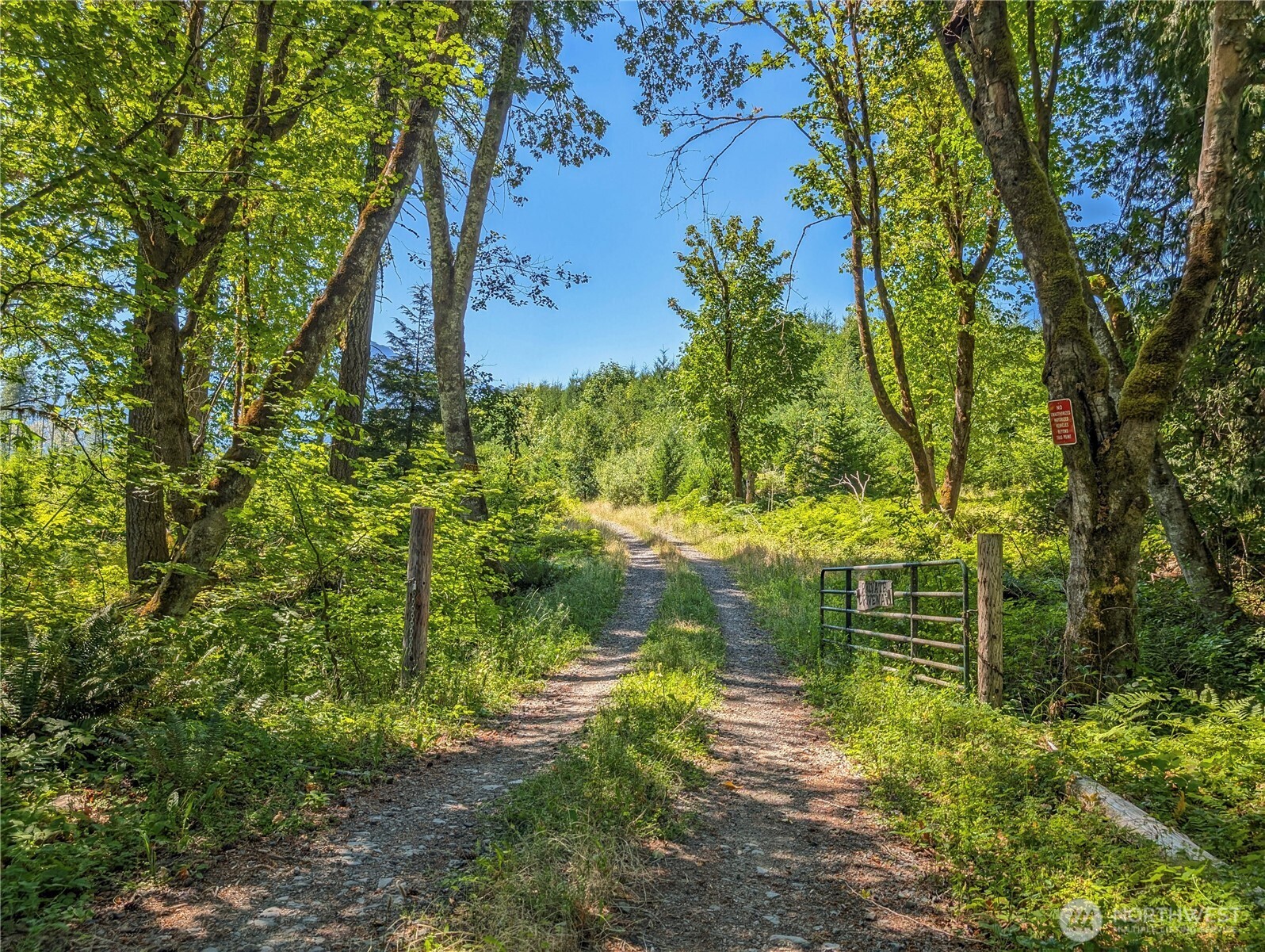 294 Hardy Lane , Packwood, WA 98361