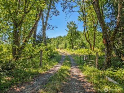 294 Hardy Lane , Packwood, WA 98361 - Photo 7