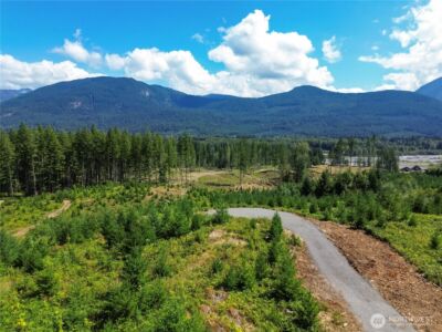 294 Hardy Lane , Packwood, WA 98361 - Photo 9