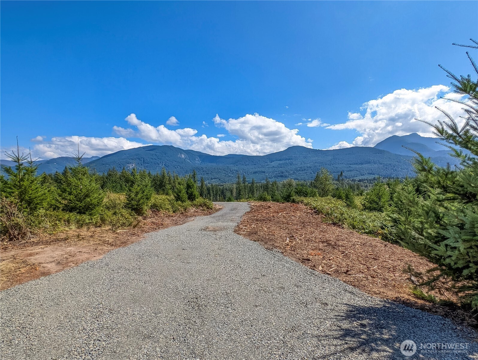 294 Hardy Lane , Packwood, WA 98361