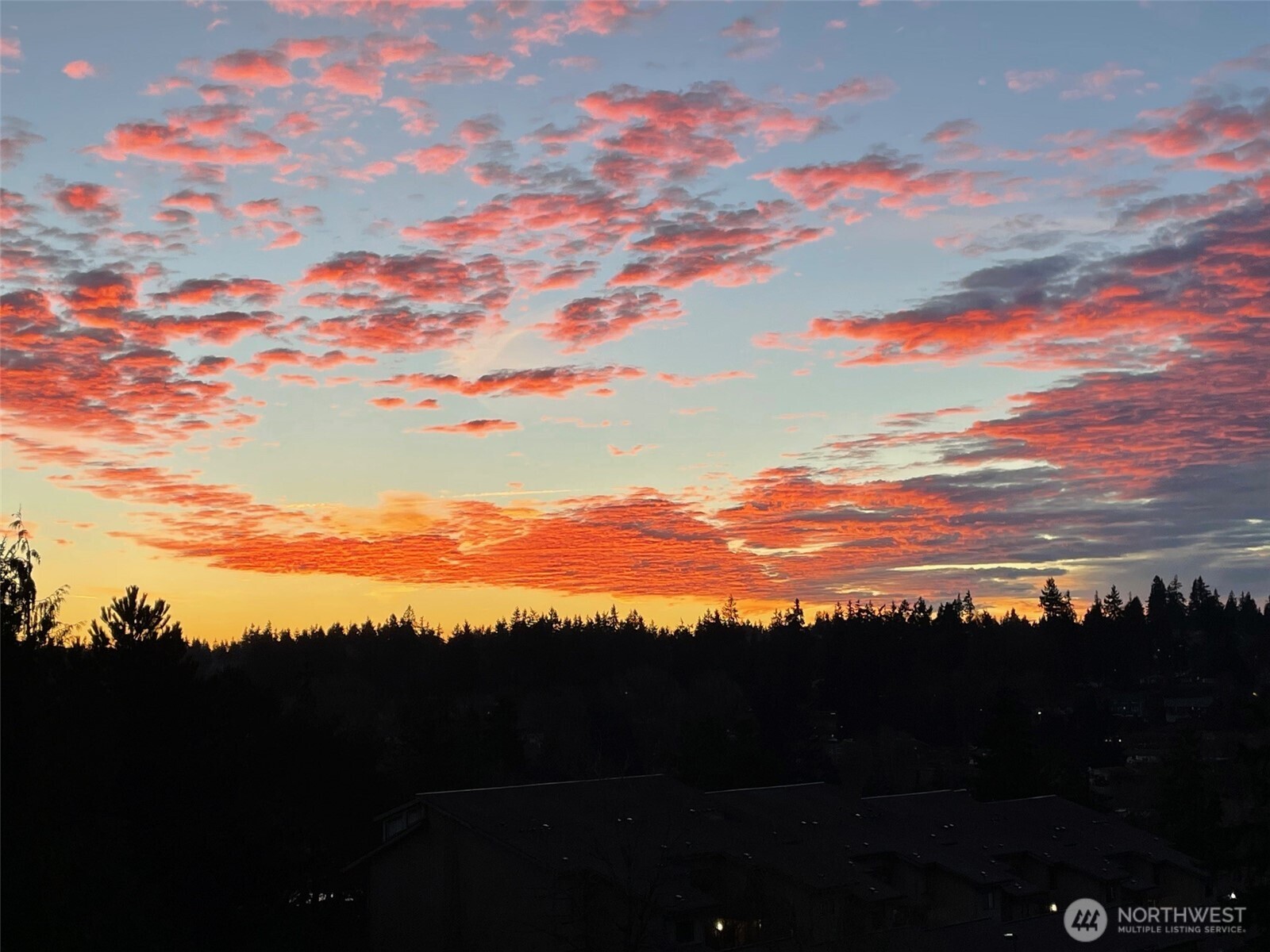 23007 Lakeview Drive #A303, Mountlake Terrace, WA 98043