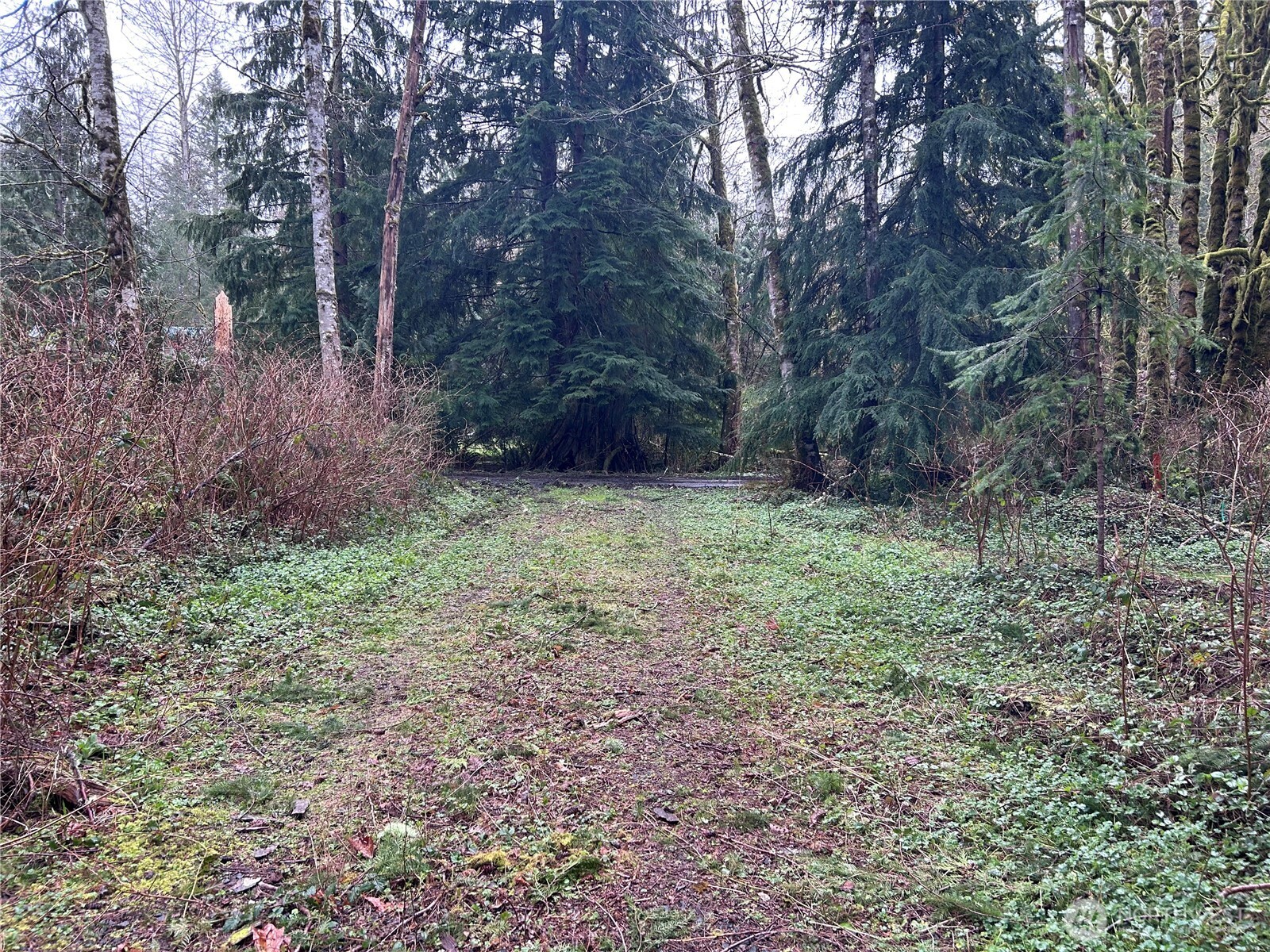 31930 Dotson Road , Monroe, WA 98272