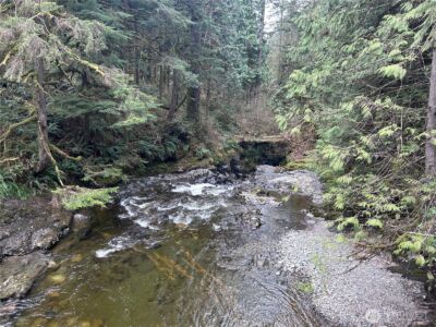 31930 Dotson Road , Monroe, WA 98272 - Photo 8