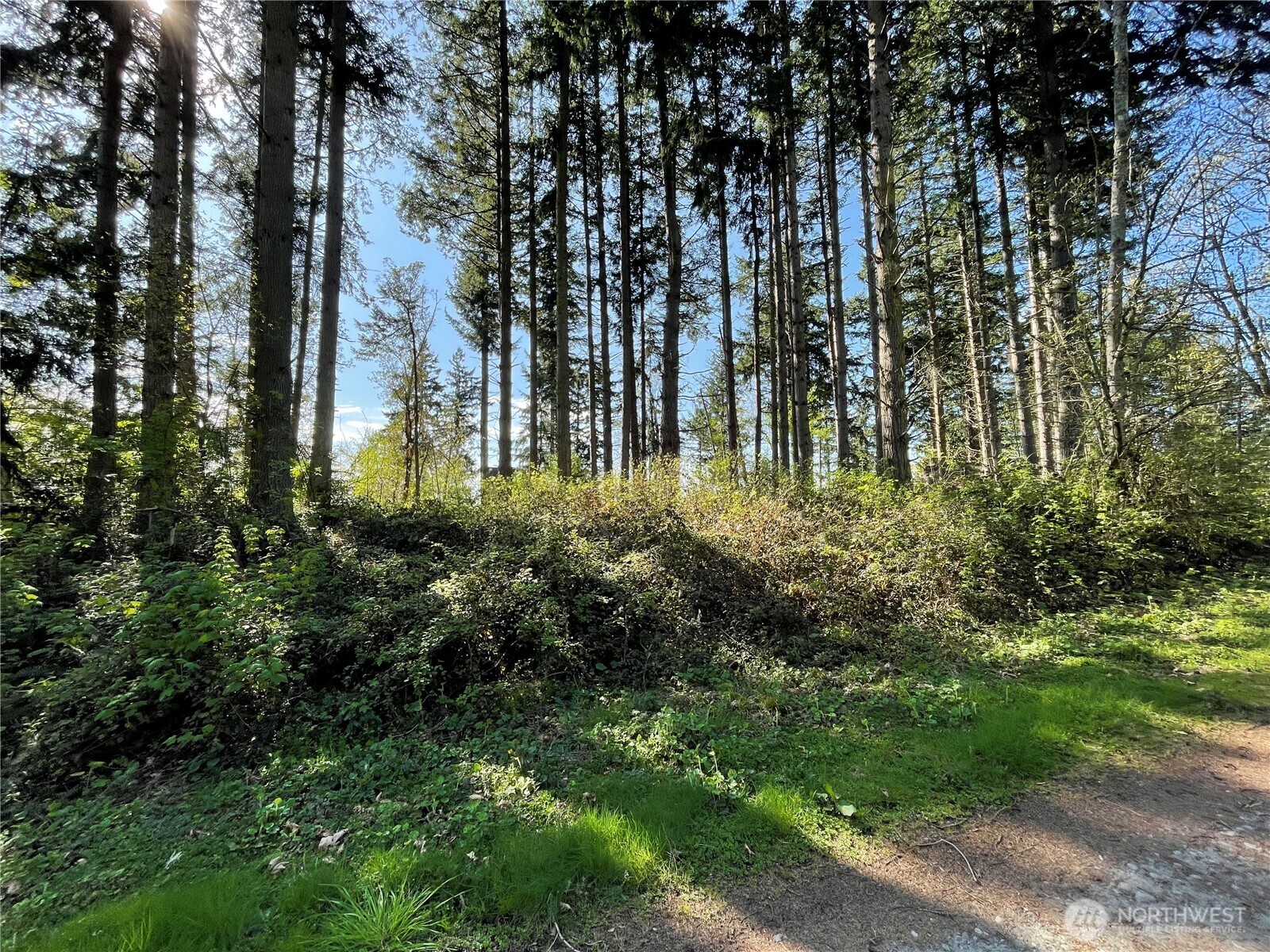 99 B Port Gardner Drive , Hat Island, WA 98206