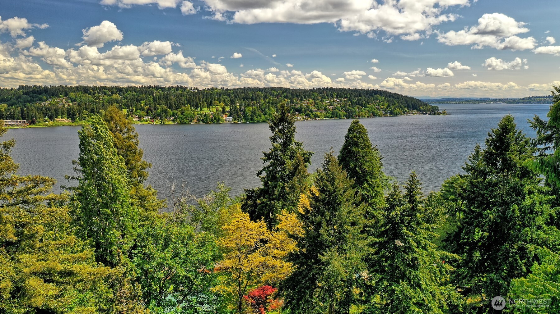 5035 NE 178th Street , Lake Forest Park, WA 98155