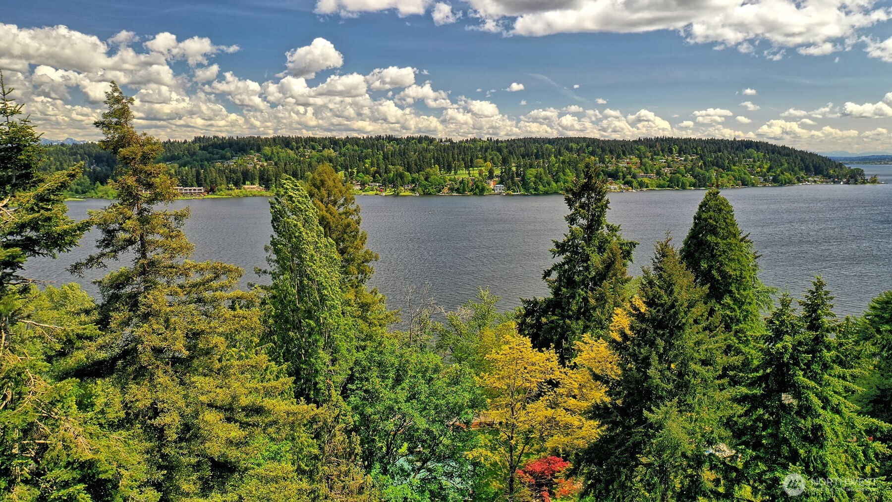 5035 NE 178th Street , Lake Forest Park, WA 98155