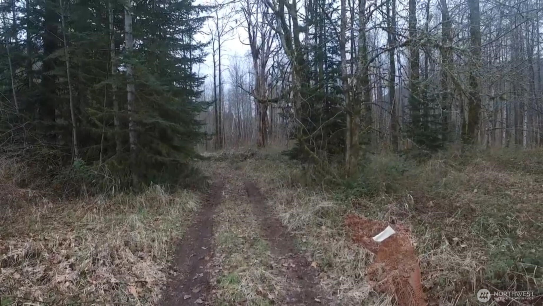 841 W Main , Morton, WA 98356