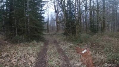 841 W Main , Morton, WA 98356 - Photo 19