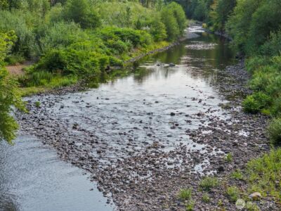 841 W Main , Morton, WA 98356 - Photo 2