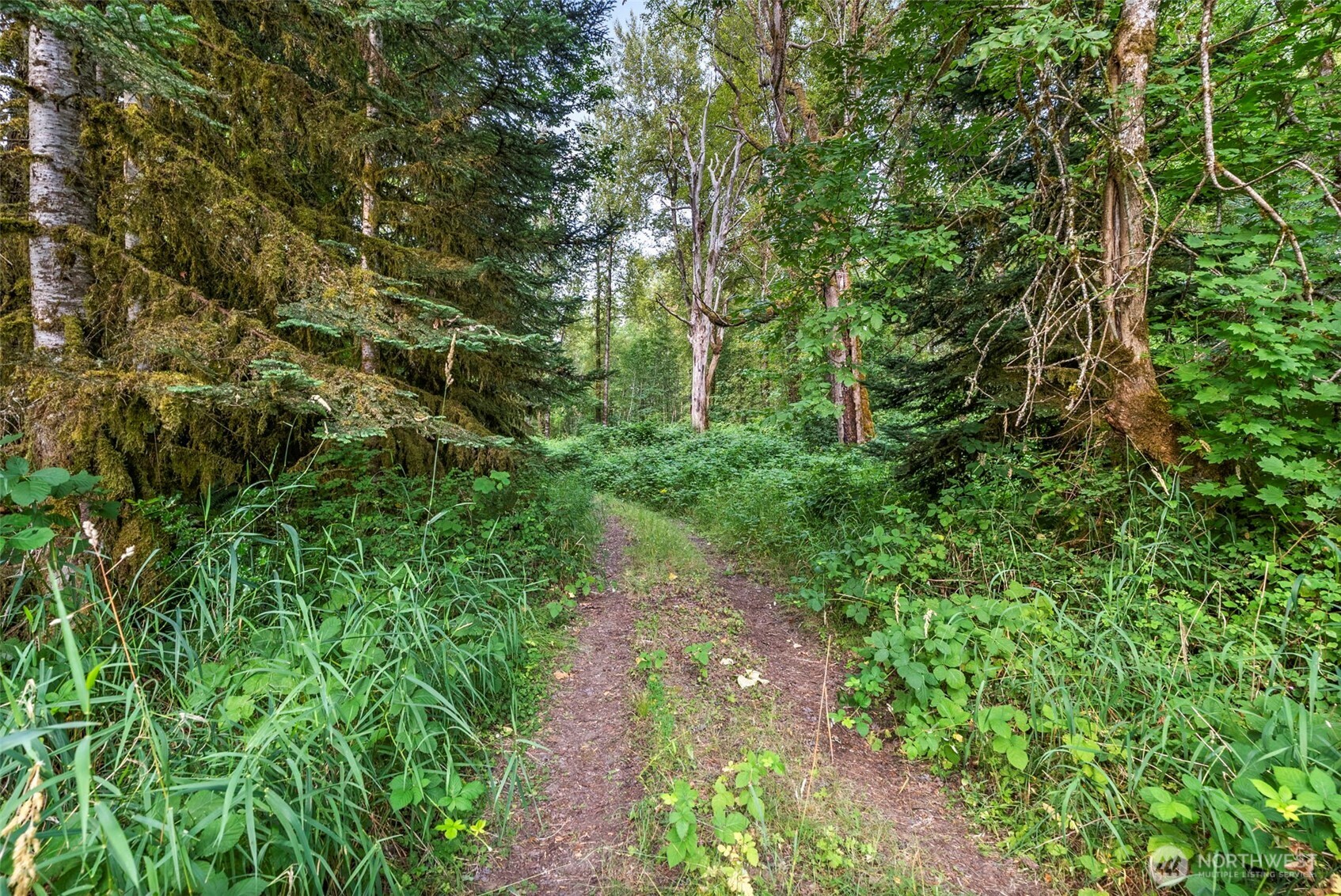 841 W Main , Morton, WA 98356