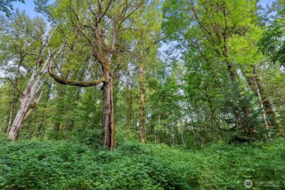 841 W Main , Morton, WA 98356 - Photo 24