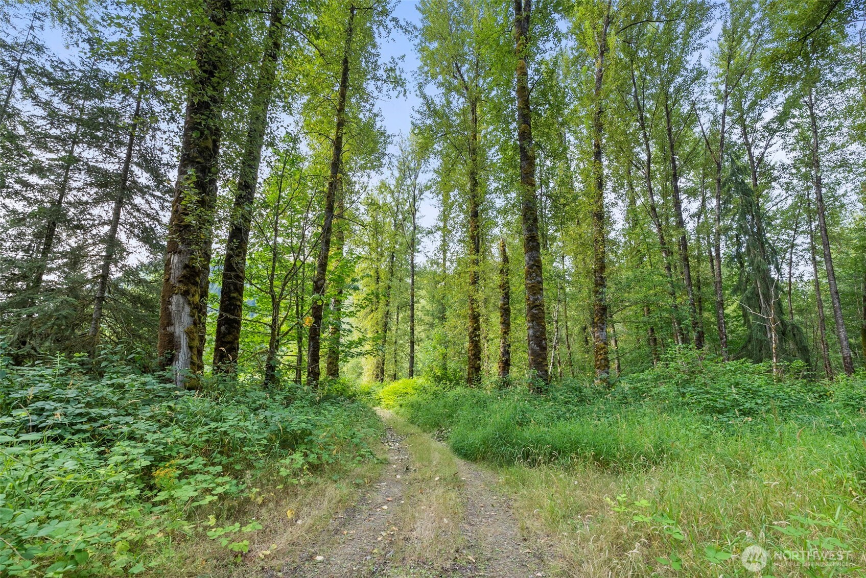 841 W Main , Morton, WA 98356